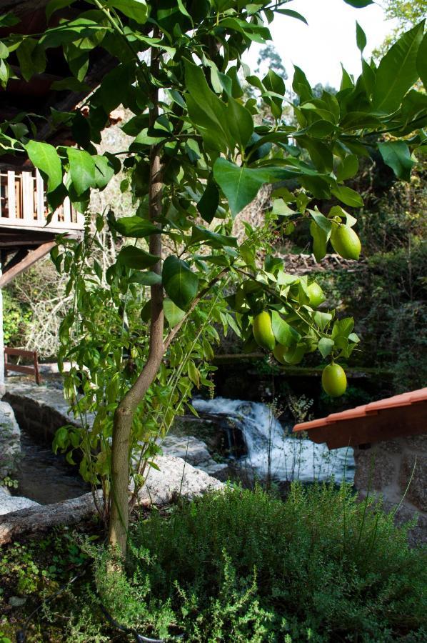Quinta Das Bollotas Villa ฟาฟี ภายนอก รูปภาพ