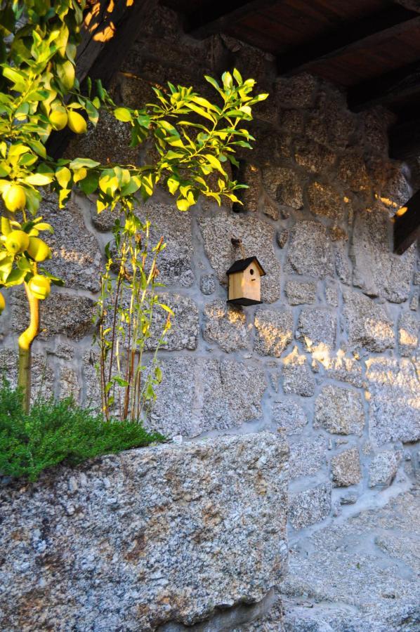 Quinta Das Bollotas Villa ฟาฟี ภายนอก รูปภาพ