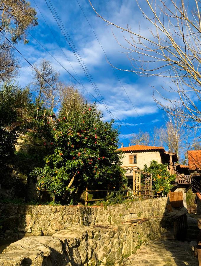 Quinta Das Bollotas Villa ฟาฟี ภายนอก รูปภาพ