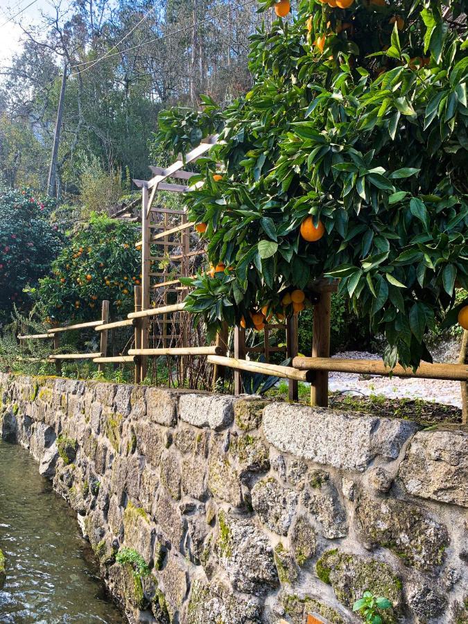 Quinta Das Bollotas Villa ฟาฟี ภายนอก รูปภาพ