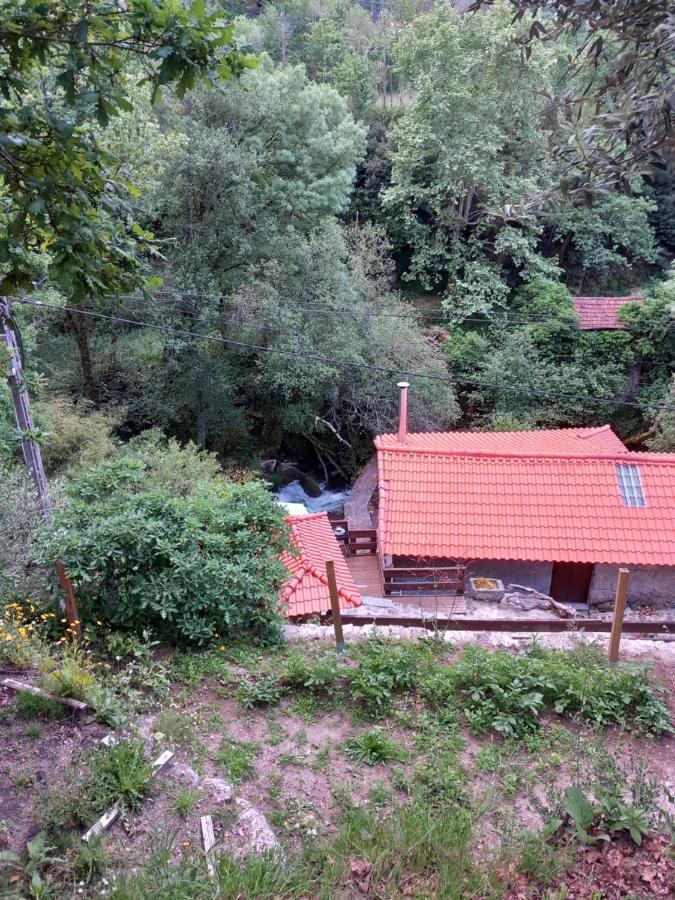 Quinta Das Bollotas Villa ฟาฟี ภายนอก รูปภาพ