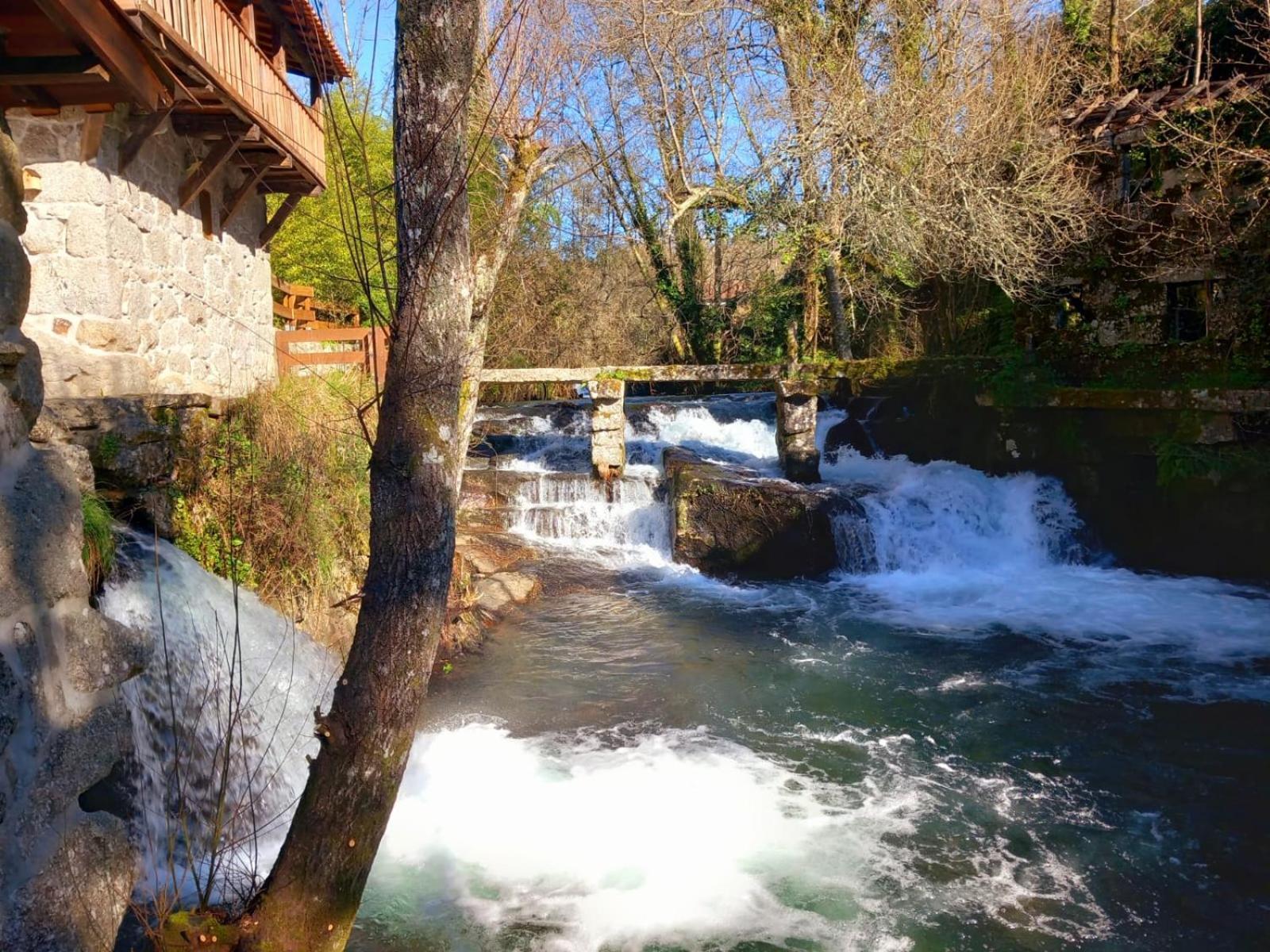 Quinta Das Bollotas Villa ฟาฟี ห้อง รูปภาพ